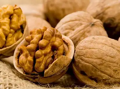 Walnut