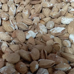 خرید اینترنتی بادام منقا بسته‌ بندی؛ ارسال سریع