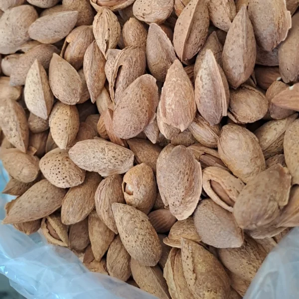 خرید بادام منقا دست‌ چین؛ مناسب پذیرایی و هدیه