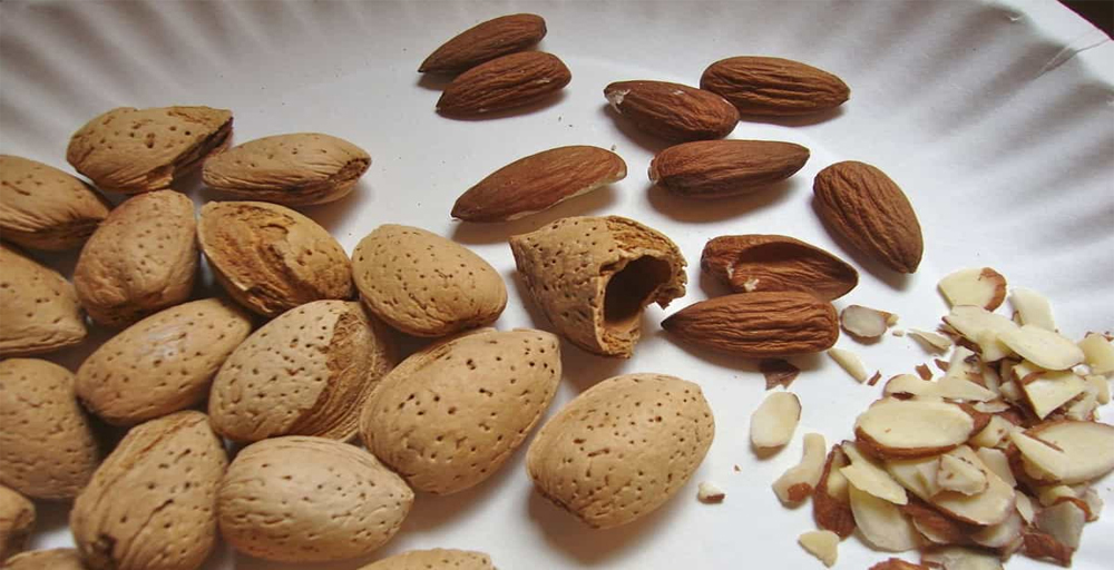 صادرات بادام مامایی به چین