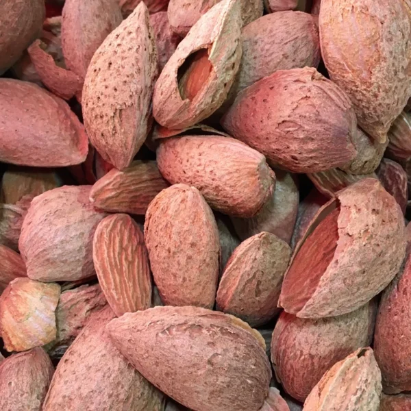 خرید عمده بادام منقا اعلا برای مصرف روزانه