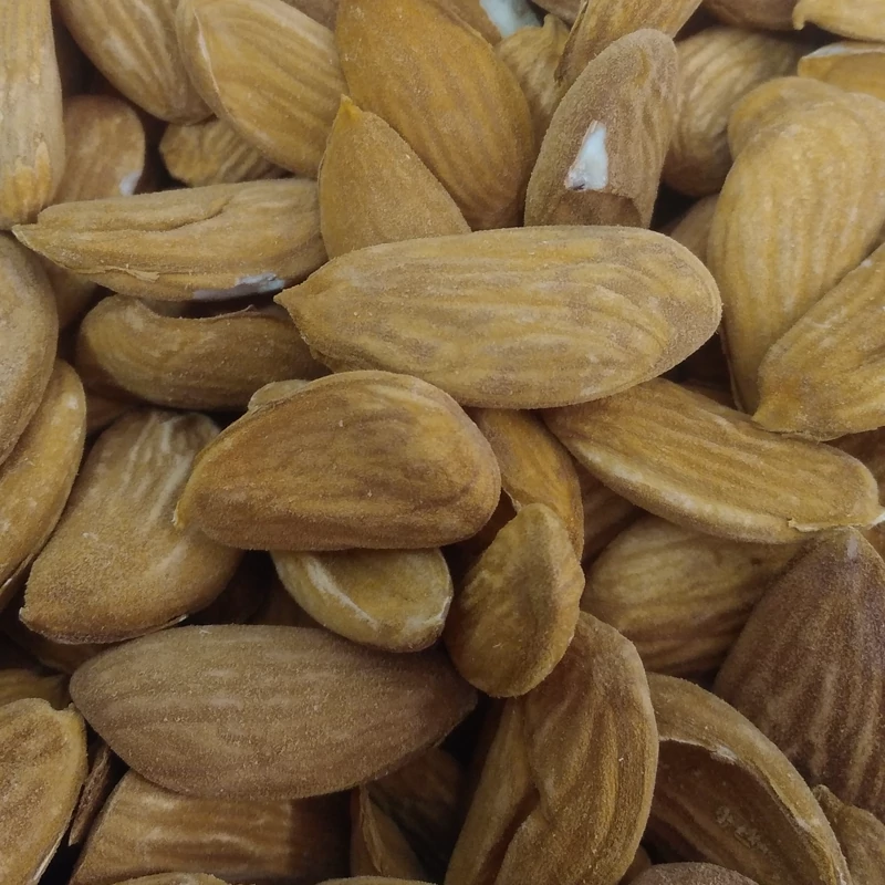 فروشگاه اینترنتی معتبر برای بادام مامایی