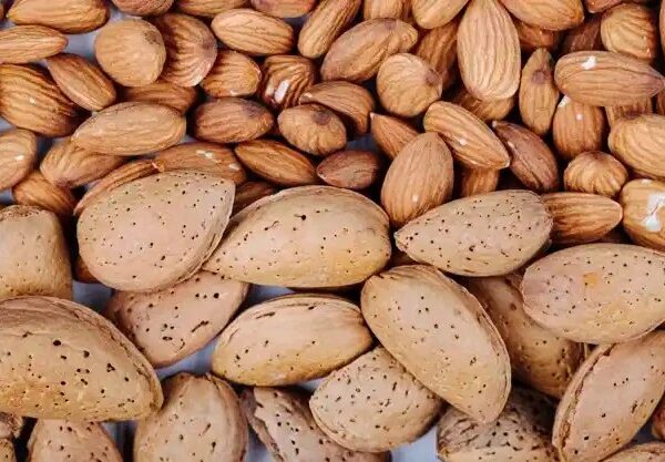 مقایسه قیمت بادام مامایی با سایر ارقام بادام