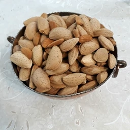 صادرات بادام مامایی به هند