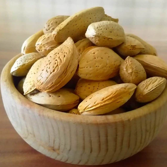 صادرات بادام ربیع فرآوری‌ شده، فرصت‌ های سودآور