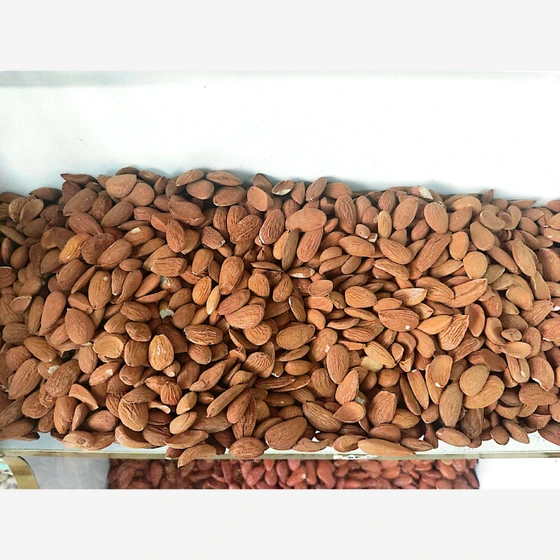 خرید بادام ربیع برای بسته بندی و برندهای خشکبار