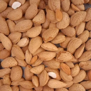 فروش عمده بادام ربیع تازه با تخفیف ویژه