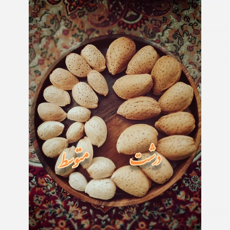 بهترین روش خرید بادام ربیع تازه و انبار نشده