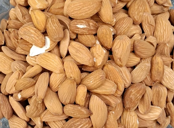 فروش بادام ربیع مخصوص آجیل مخلوط اعیاد