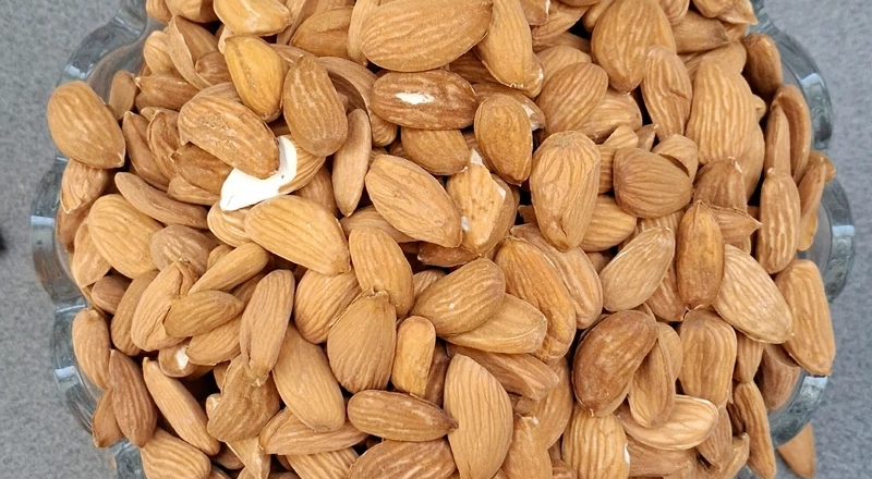 فروش بادام ربیع مخصوص آجیل مخلوط اعیاد