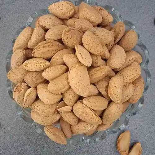 خرید بادام ربیع