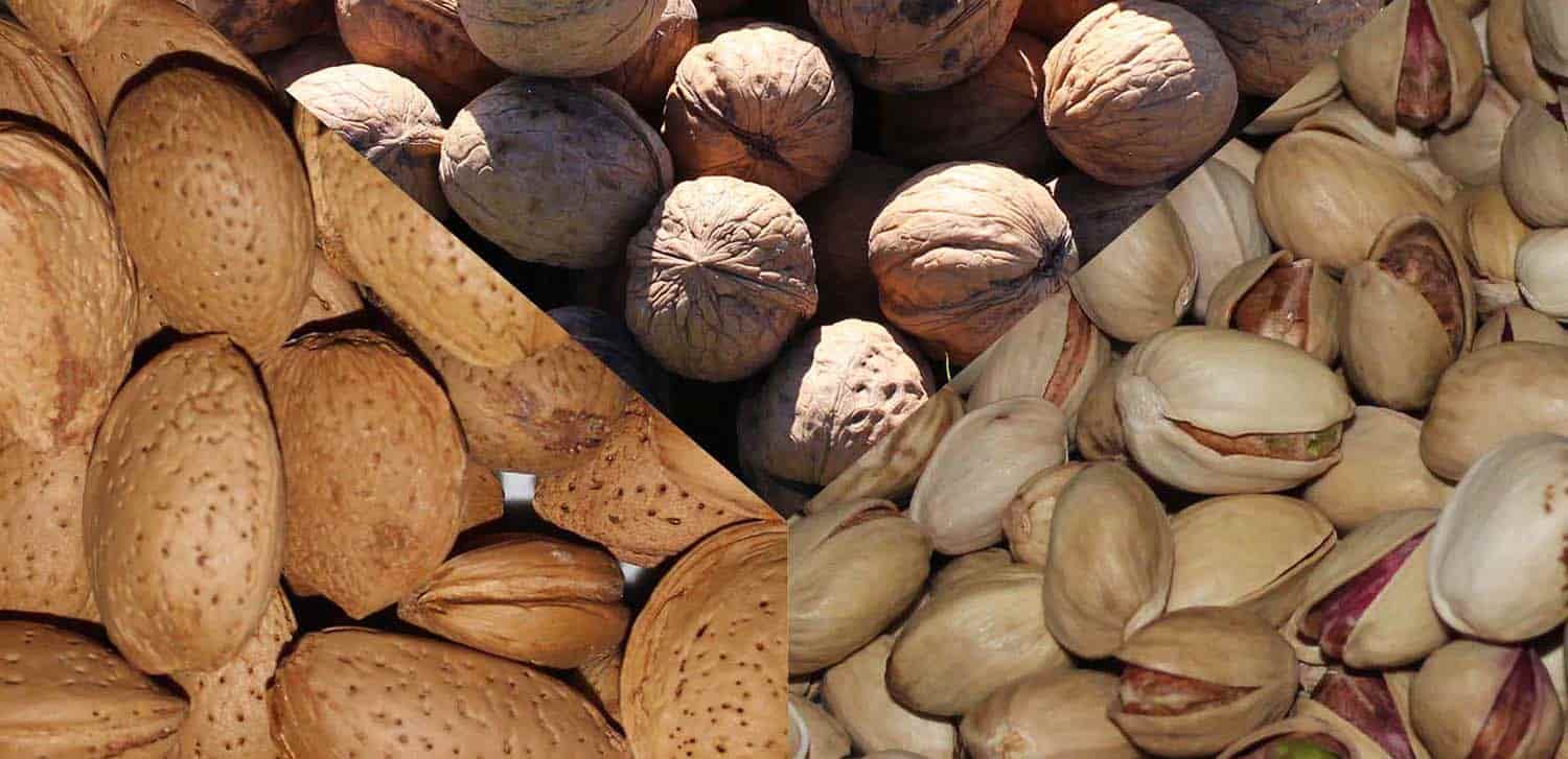 خرید عمده خشکبار
