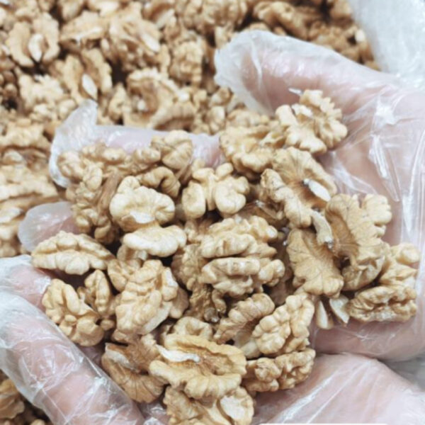 استانداردهای کیفیت گردوی تویسرکان برای مصرف صنعتی