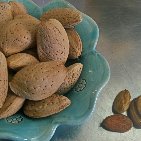 مزایا و بازار هدف صادرات بادام ربیع ارگانیک