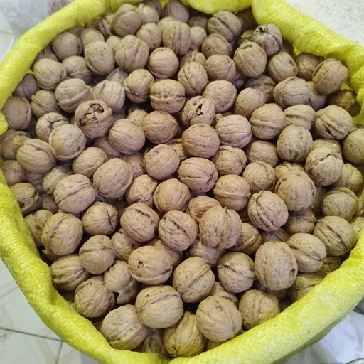 صادرات گردوی تویسرکان به عراق