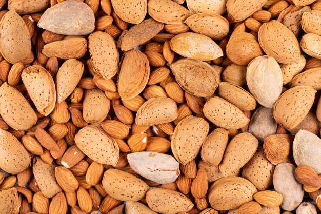 صادرات بادام ربیع ایرانی به اروپا و آسیای میانه