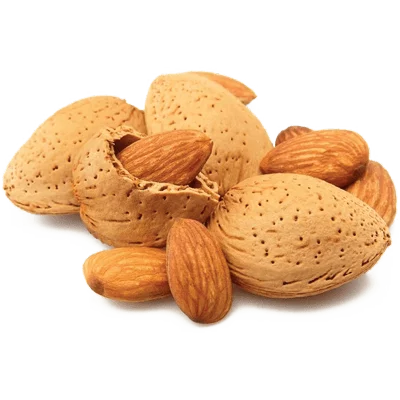 خرید بادام ربیع دست‌ چین برای مصارف لوکس