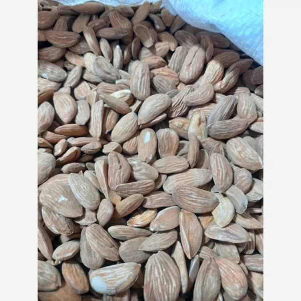 فروش بادام ربیع اقتصادی برای تولیدی‌ های کوچک