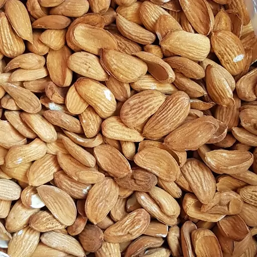 فروش عمده بادام ربیع مناسب کارخانجات غذایی