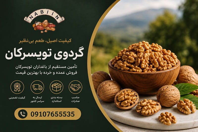 قیمت گردوی تویسرکان