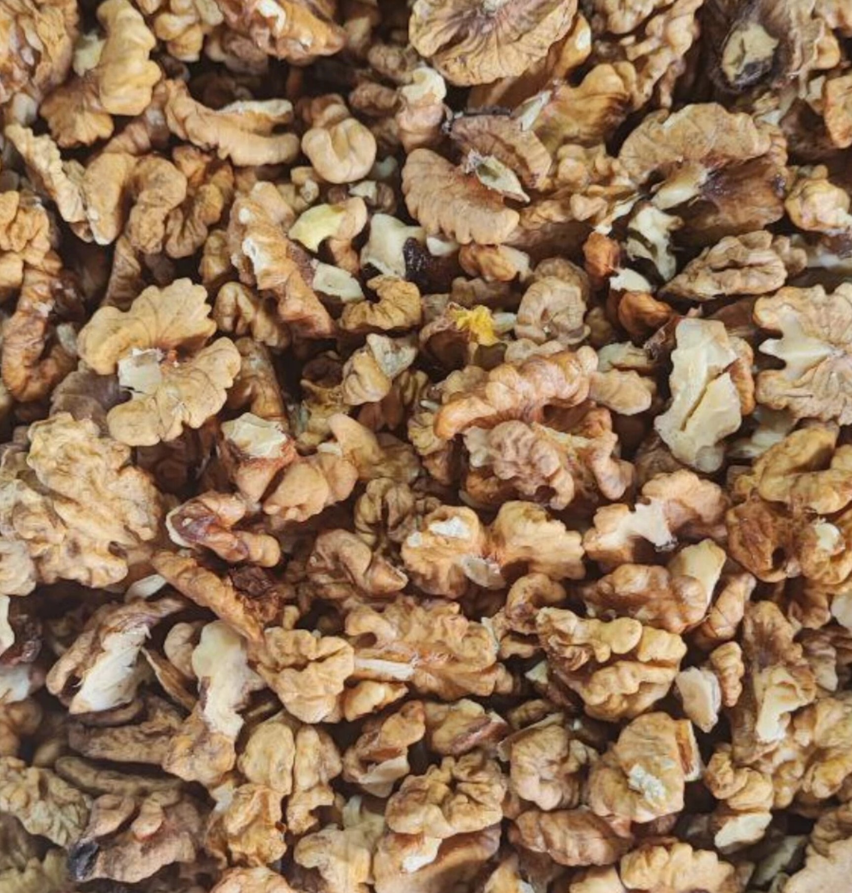 بهترین نوع بسته‌ بندی برای فروش گردوی تویسرکان