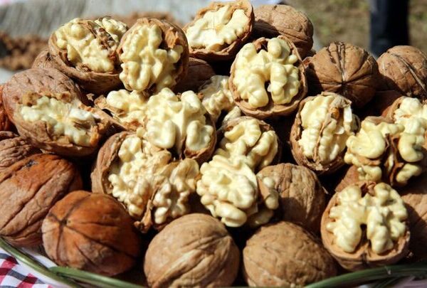 سود صادرات گردوی تویسرکان
