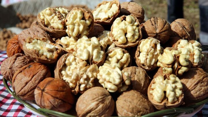سود صادرات گردوی تویسرکان