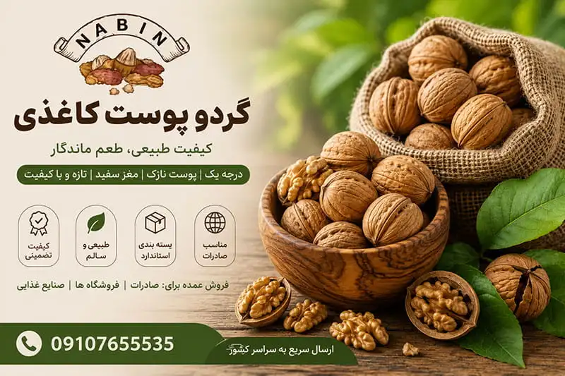 قیمت گردو پوست کاغذی