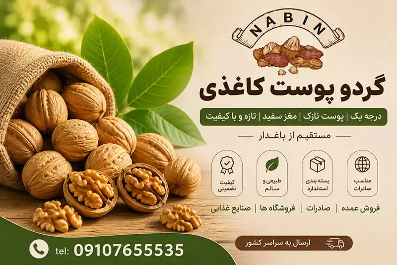 خرید گردو پوست کاغذی