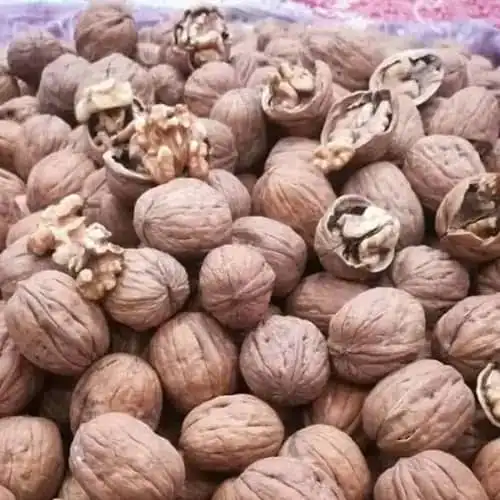 خرید گردو پوست کاغذی