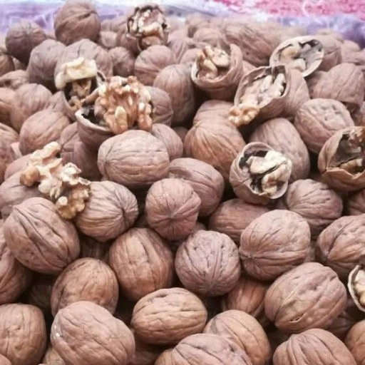خرید گردو پوست کاغذی