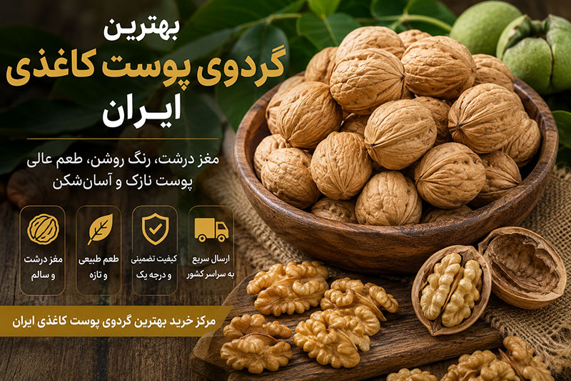 قیمت عمده گردوی پوست کاغذی برای صادرات در سال 2026 را بررسی کنید آشنایی با عوامل مؤثر بر قیمت، بازارهای صادراتی، کیفیت گردو و نکات خرید عمده از تأمینکنندگان معتبر