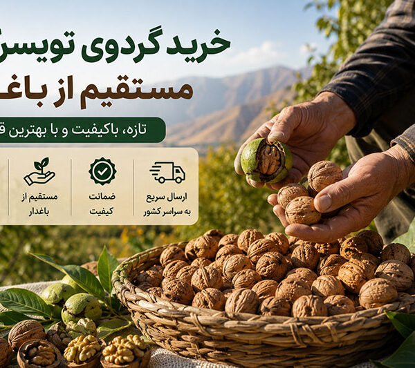 خرید گردوی تویسرکان مستقیم از باغدار