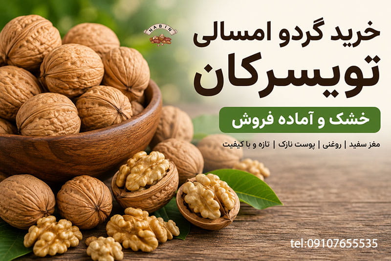 خرید گردو امسالی تویسرکان خشک و اماده فروش