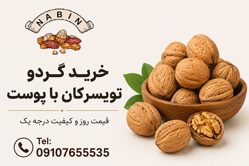 خرید گردو تویسرکان با پوست | قیمت روز و کیفیت درجه یک