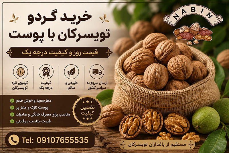 خرید گردو تویسرکان با پوست