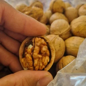 خرید گردوی پوست کاغذی تازه فصل با بهترین قیمت