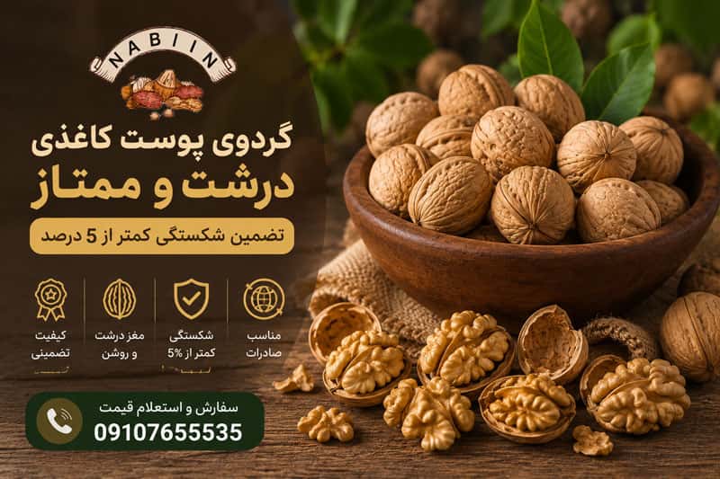 خرید گردوی پوست کاغذی