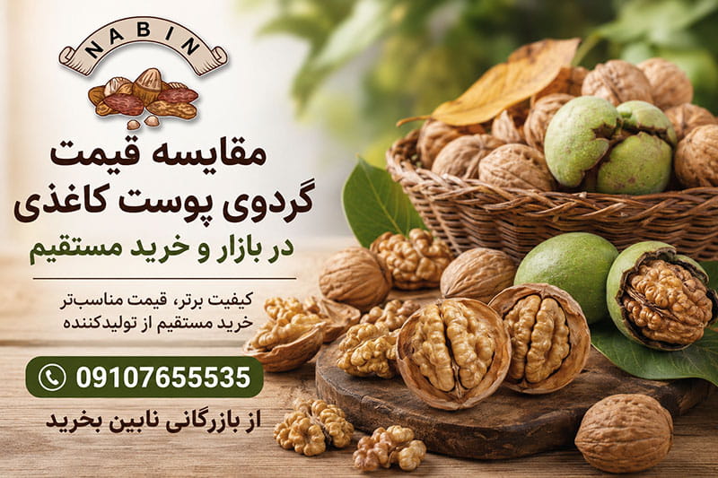 مقایسه قیمت گردوی پوست کاغذی در بازار و خرید مستقیم