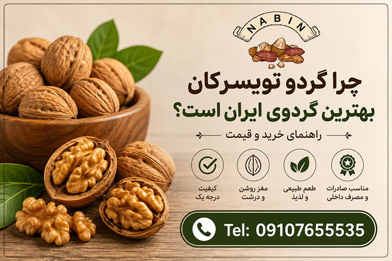 چرا گردو تویسرکان بهترین گردوی ایران است؟ راهنمای خرید و قیمت