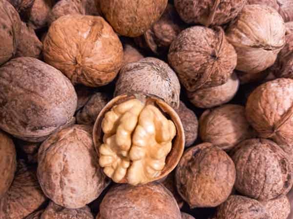خرید اینترنتی گردوی پوست کاغذی