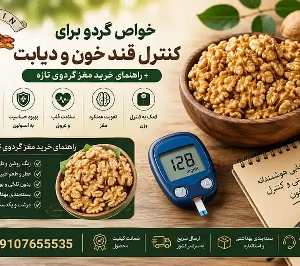 خواص گردو برای کنترل قند خون و دیابت + راهنمای خرید مغز گردو تازه