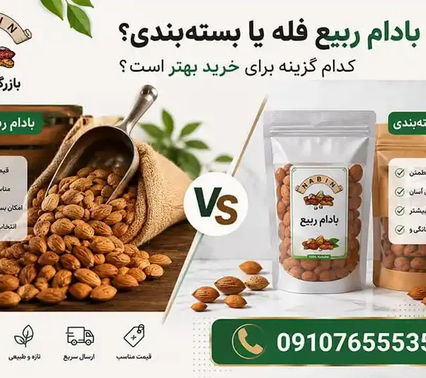 بادام ربیع فله یا بسته‌ بندی؟ کدام گزینه برای خرید بهتر است؟