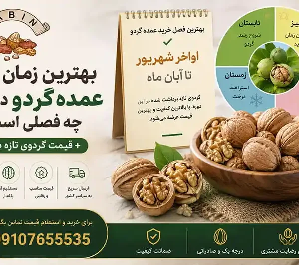 بهترین زمان خرید عمده گردو در سال