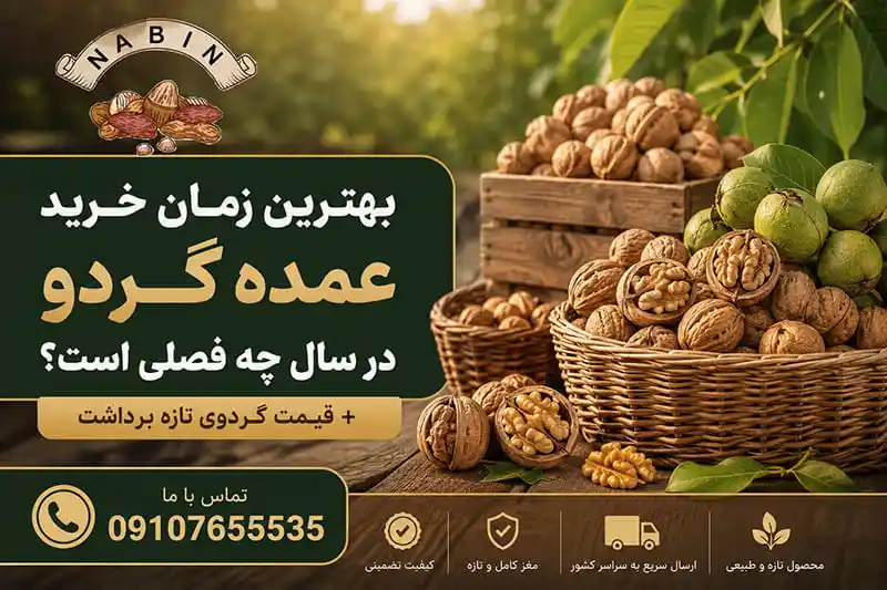 بهترین زمان خرید عمده گردو در سال