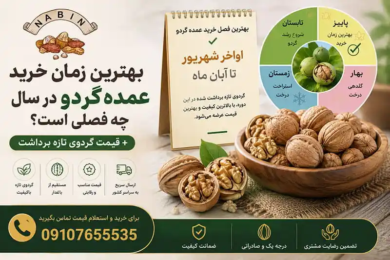 بهترین زمان خرید عمده گردو در سال
