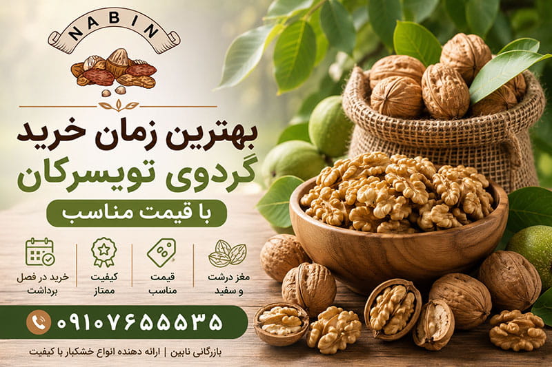 بهترین زمان خرید گردوی تویسرکان با قیمت مناسب