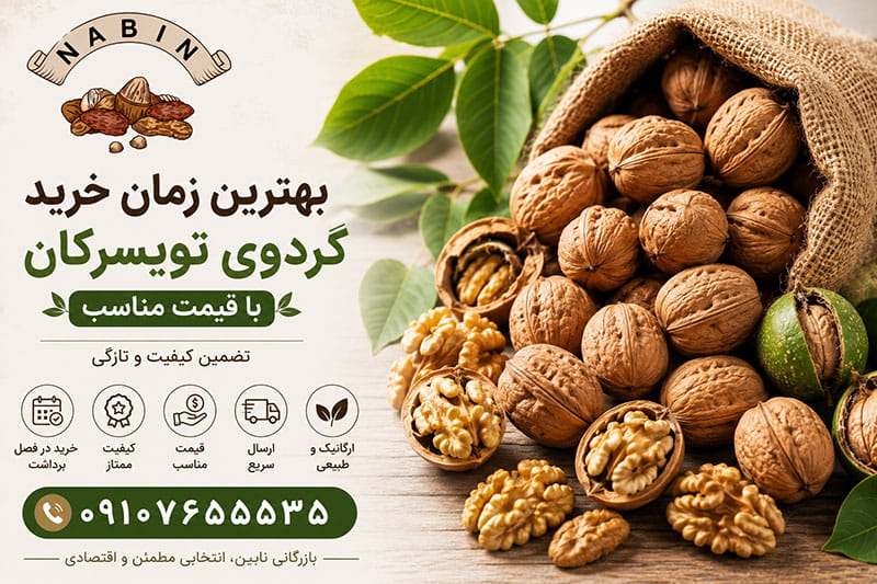 بهترین زمان خرید گردوی تویسرکان با قیمت مناسب