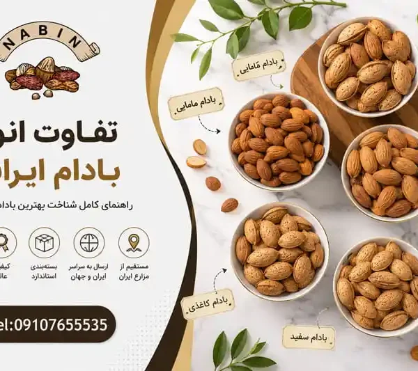 تفاوت انواع بادام ایرانی