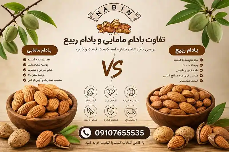تفاوت بادام مامایی و بادام ربیع
